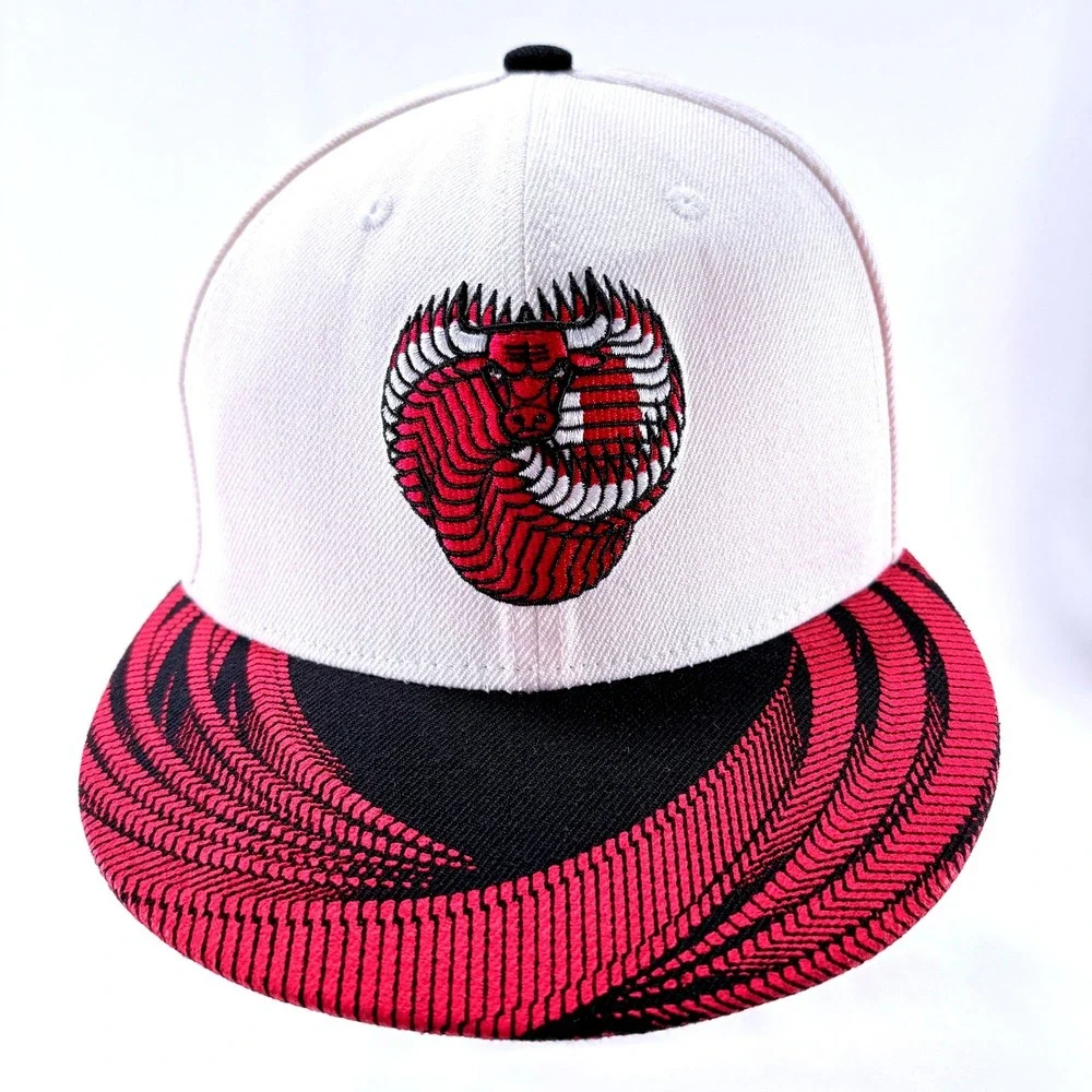 Melonwear NBA Chicago Bulls BMO Harris Artist Series Chuck Anderson Snapback Hat